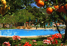 Hotel ANTICHE MURA