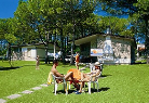 Villaggio Laura-R