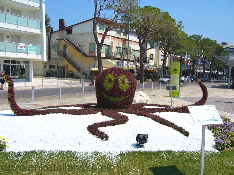 img00003.jpg