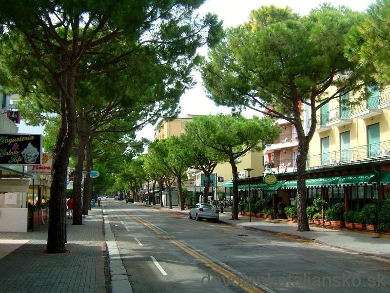 img00018.jpg