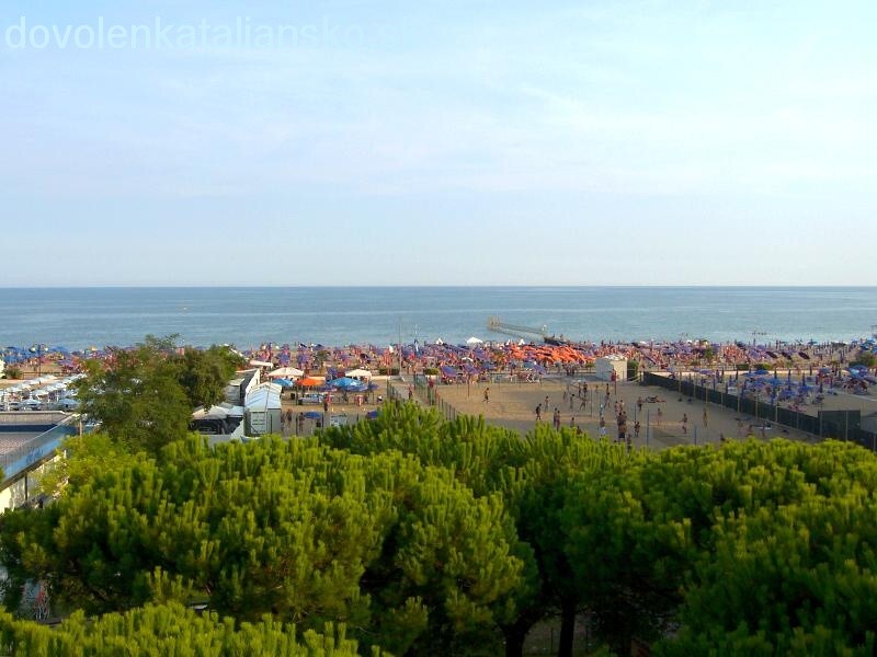 img00048.jpg
