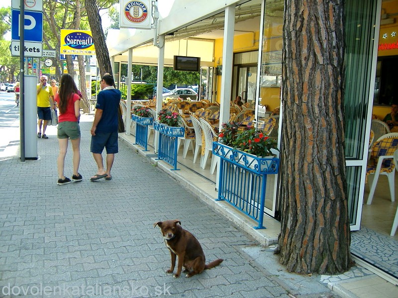 img00012.jpg