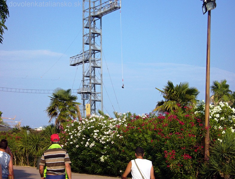 img00019.jpg