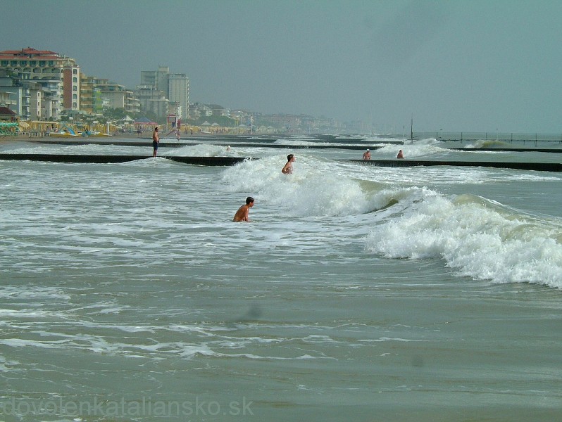 img00010.jpg