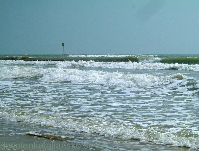img00011.jpg