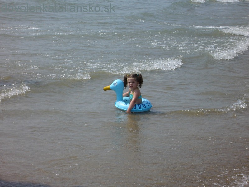 img00021.jpg