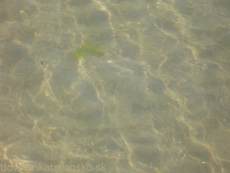 img00024.jpg