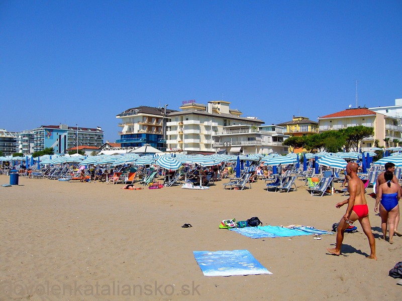img00008.jpg