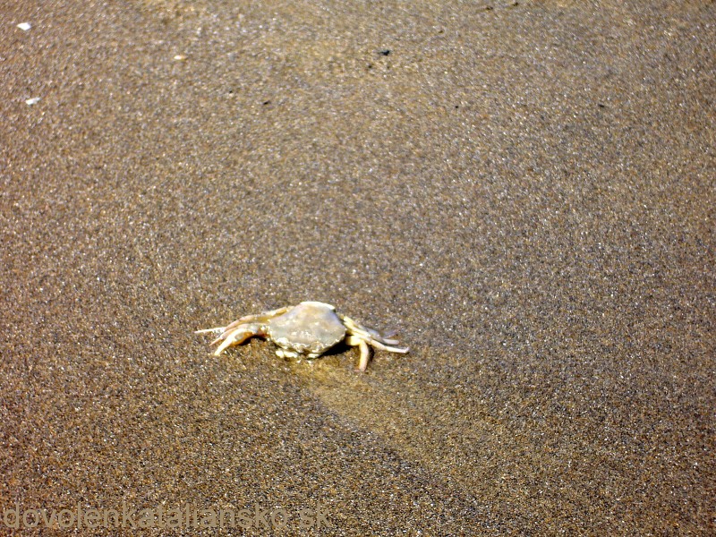 img00020.jpg
