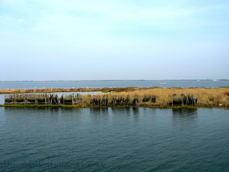 img00012.jpg