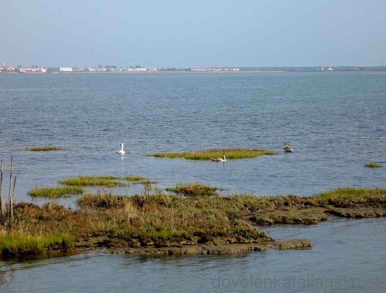 img00013.jpg