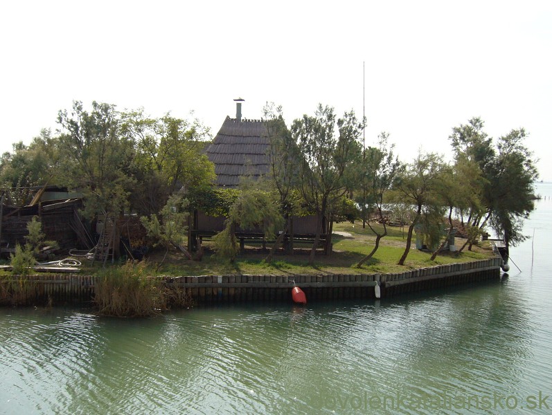 img00021.jpg