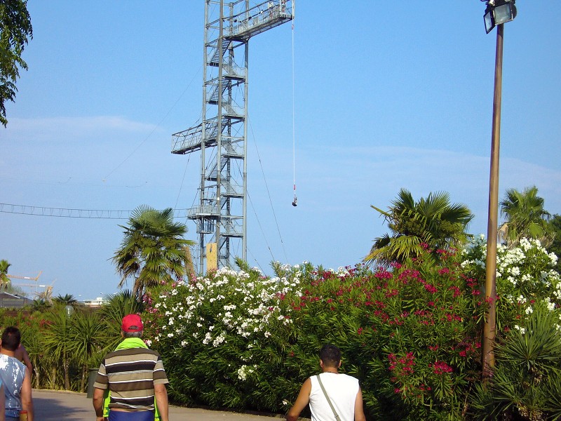 img00002.jpg