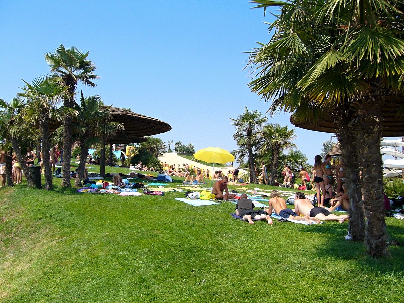 img00028.jpg
