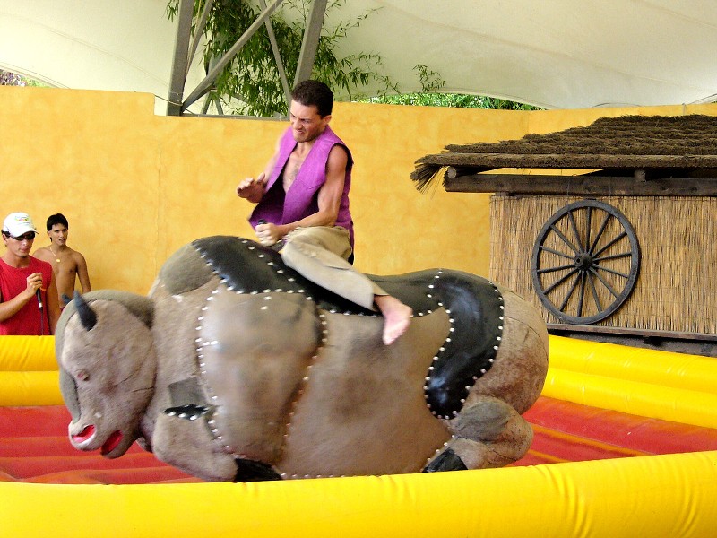 img00042.jpg