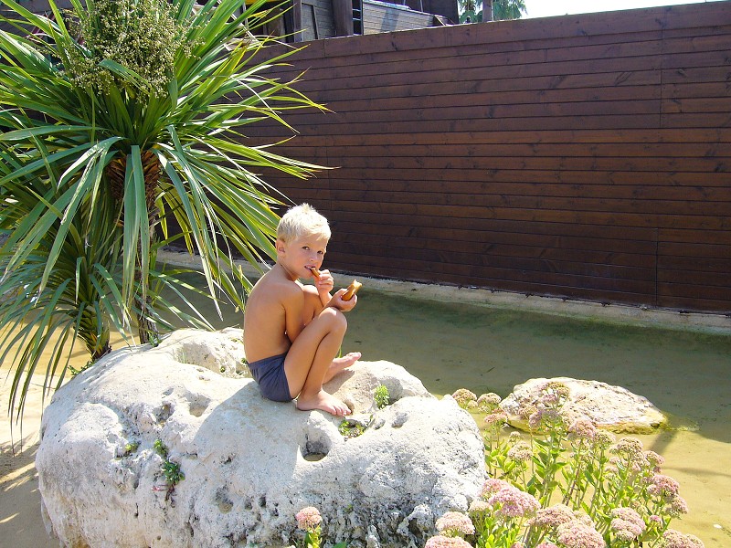 img00040.jpg