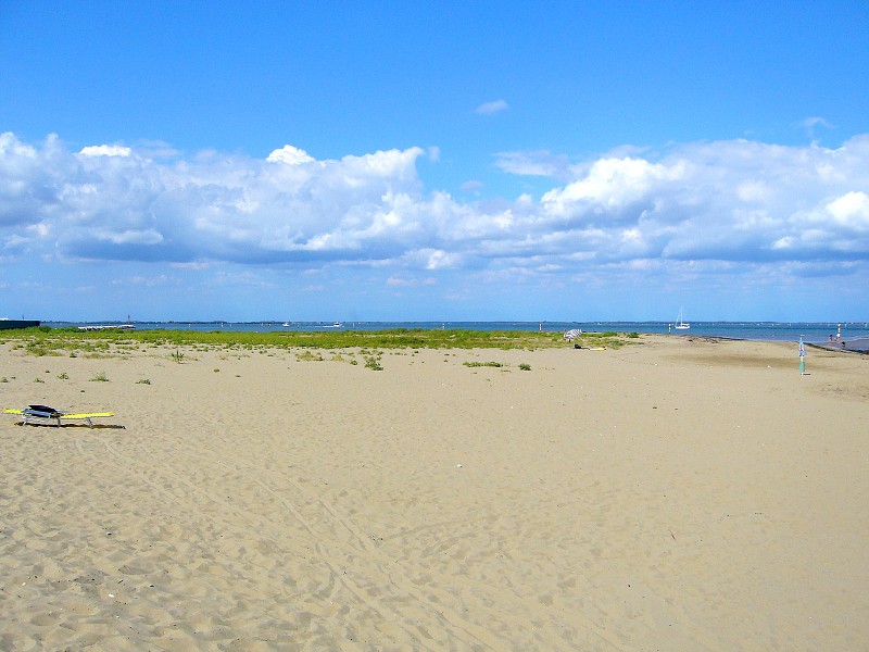 img00005.jpg