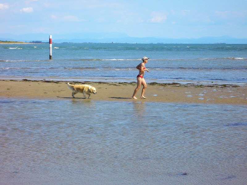 img00006.jpg