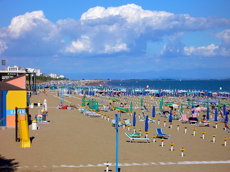 img00007.jpg
