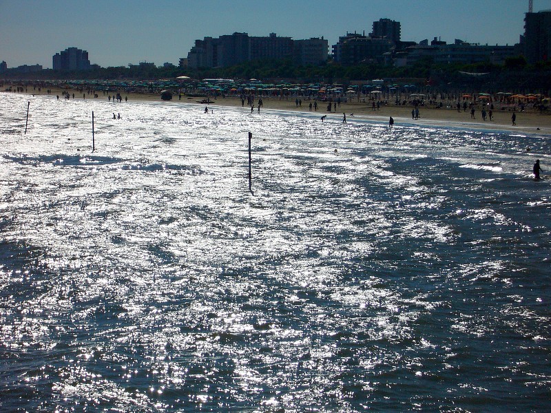 img00019.jpg