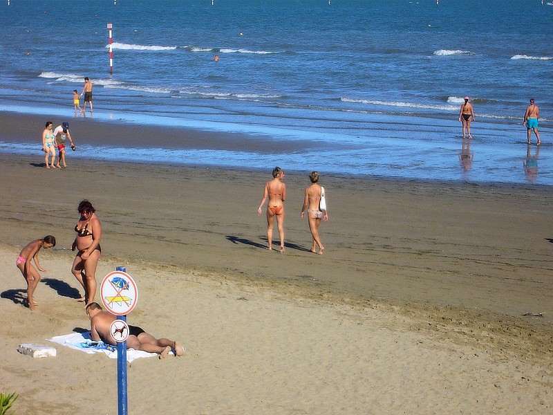 img00020.jpg