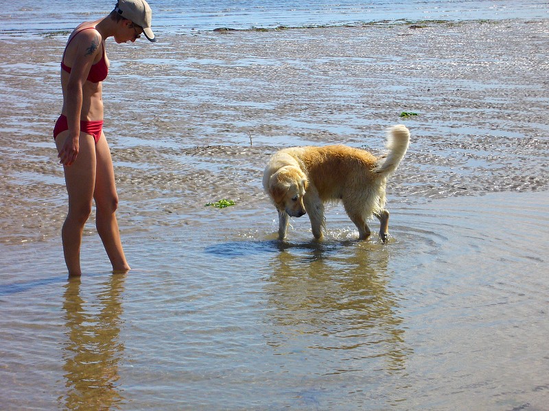 img00031.jpg