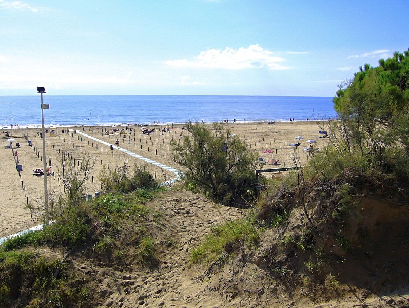 img00033.jpg