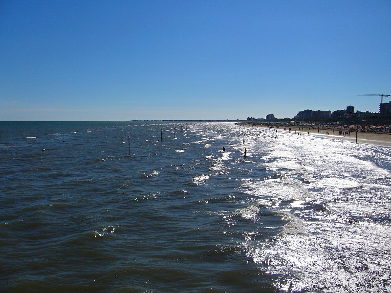 img00049.jpg