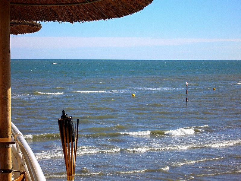 img00052.jpg