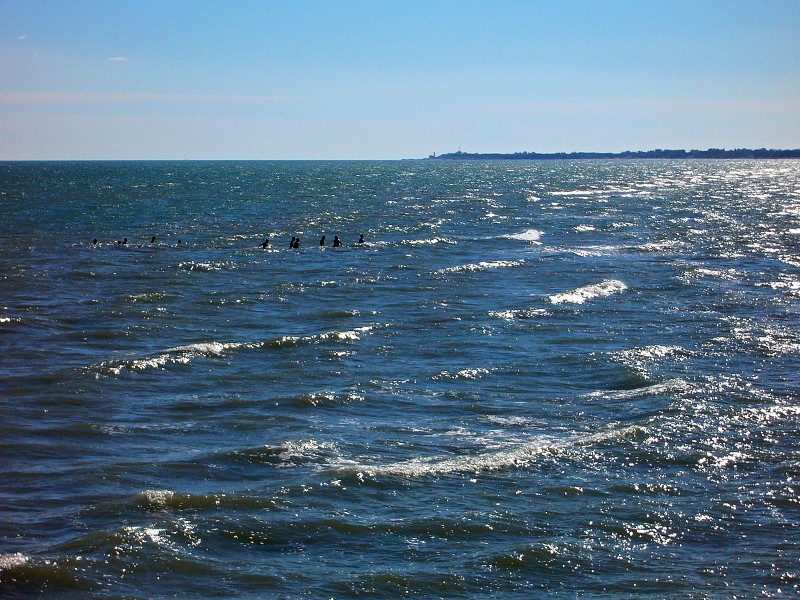 img00075.jpg