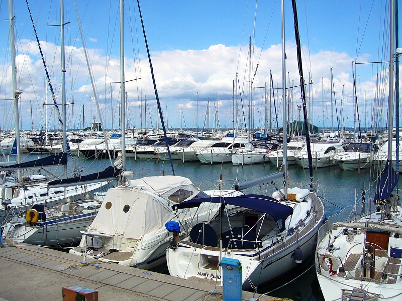 img00037.jpg