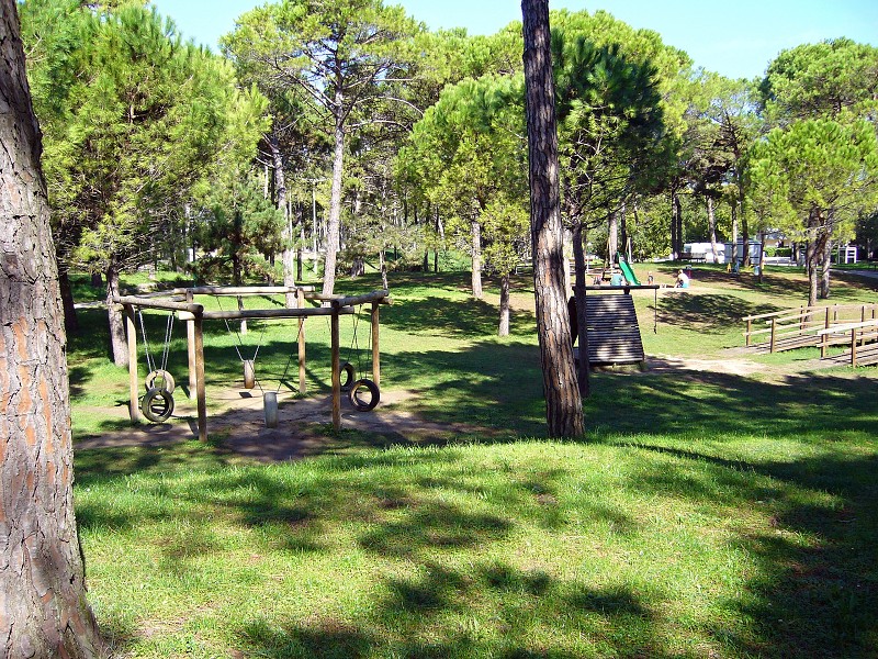 img00013.jpg
