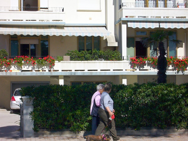 img00022.jpg